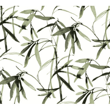 York Black and White Resource Library BW3842 Bamboo Ink Wallpaper Green Black