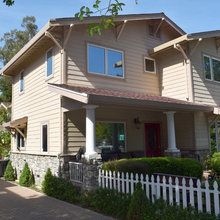'Plexes