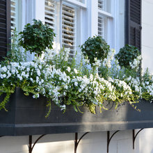 window box