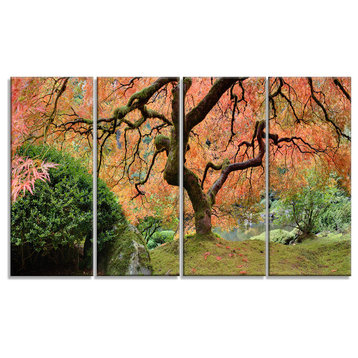 Old Japanese Maple Tree - Landscape Photography Metal Wall Art - 48x28 - 4 Panel