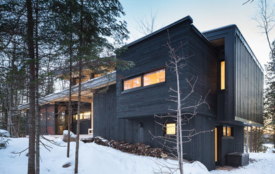 Picture Perfect: 38 Ebony Abodes Embracing the Dark Side