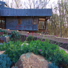 front yard