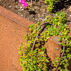 Planters - Outdoor Pots And Planters
