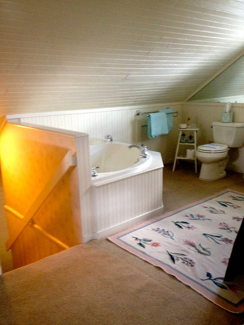Need privacy screen for toilet
