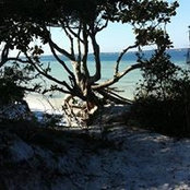 Daisy Doyle's photo
