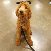 Suzi Parks's photo