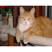 Kathleen Rich's photo