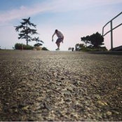 Dane Noll's photo
