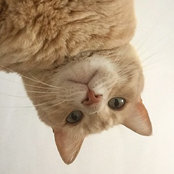melodyi's photo