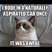 Marc Witkowski's photo