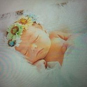 Photo de Joann Sturm