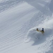 Ian Havlick's photo