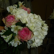 Liz Thomp's photo