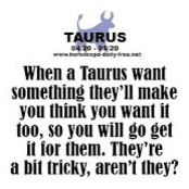 Carrie Welch's photo