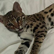 Lori Hankins's photo