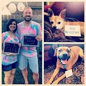 Justin Brewer's photo