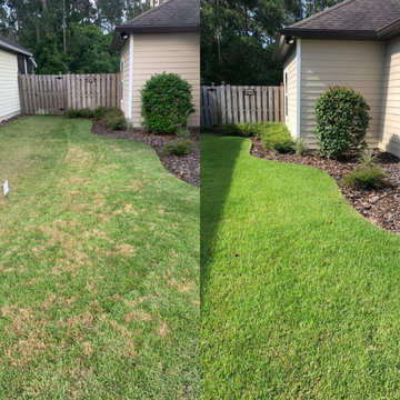 Lawn Health Program Results