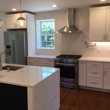 Del Ray Whole House Renovation and Addition