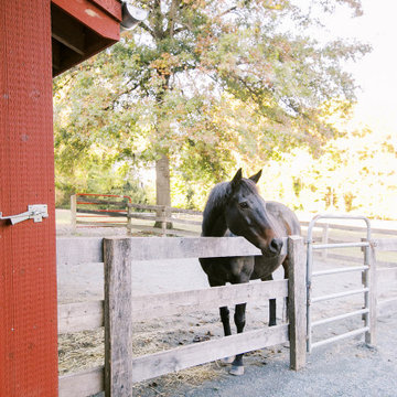 Historic Barn Addition