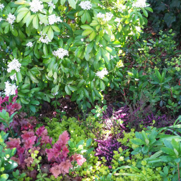 Jardin moyen