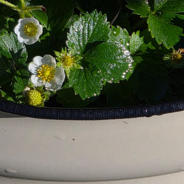 An Eco-conscious Garden with a permeable patio and walkway