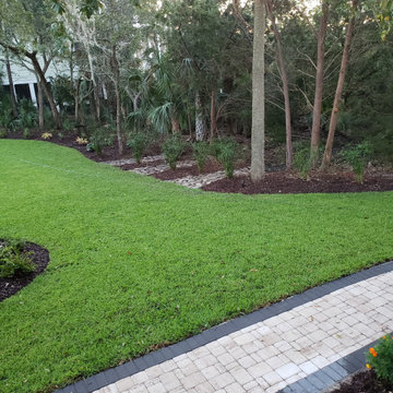 Designer Drainage Dare