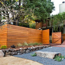 raised garden beds