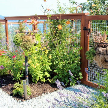 Anacortes Wa backyard
