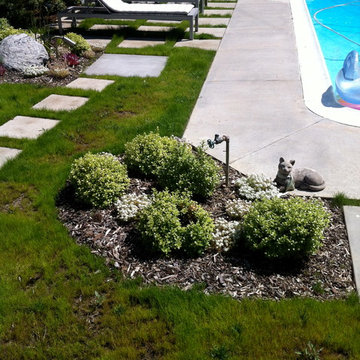 Back yard dry tolerant landscape. garage conversion