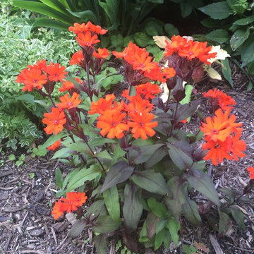 Horticulture