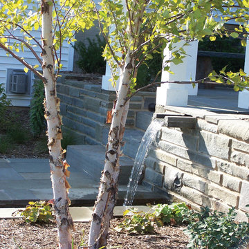 New American Garden
