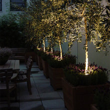 courtyard garden