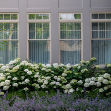 Summer Plantings