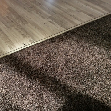 Carpet and Hardwood