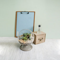 Terrarium in shapes - Products