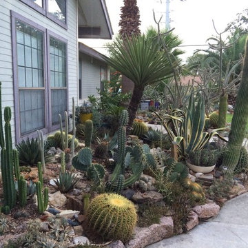 cactus & Succulent Gardens