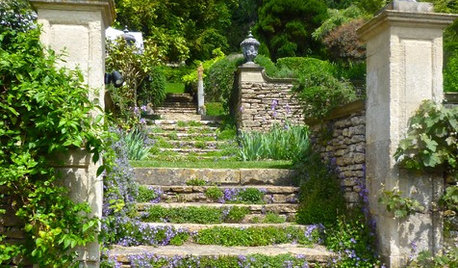 Creeping and Ground Cover Plants That Will Enhance Your Garden