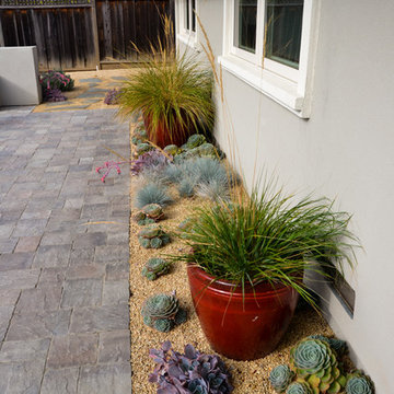 Modern Desert Style: a Water-Wise Front Yard Patio & Garden