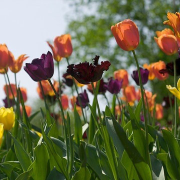 Spring Combination Ideas
