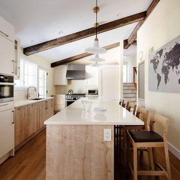 Built-in Appliances | Kitchen | Mid-Century Bayberry Renovation