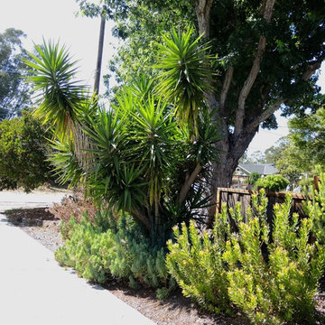 Clean modern landscape design