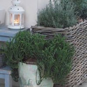 Benedetta Grillo's photo