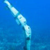 David Harper's photo