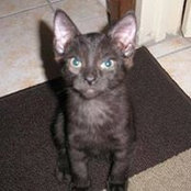 Robert Stemmler's photo