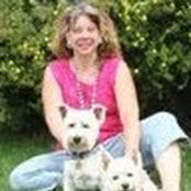 Foto von Susan Mock