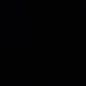 Sean Segers's photo