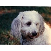 Janet Stancliffs foto