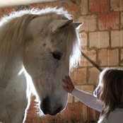 Susanne Birgisson's photo