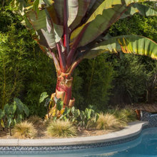 Shady Oaks Landscape Inspo
