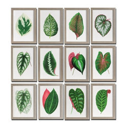 www.essentialsinside.com: leaves, wall art - Artwork